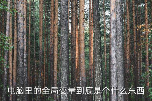 全局是什么意思，什么是指導(dǎo)全局工作決定全局命運(yùn)的方針方式和計劃