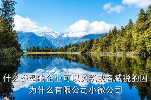 什么樣企業(yè)免交增值稅，免交增值稅的有哪些