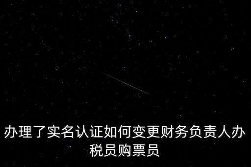 辦理了實(shí)名認(rèn)證如何變更財(cái)務(wù)負(fù)責(zé)人辦稅員購(gòu)票員