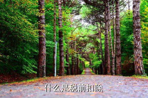 什么是專項(xiàng)稅前扣除，個(gè)稅app中的專項(xiàng)扣除什么意思