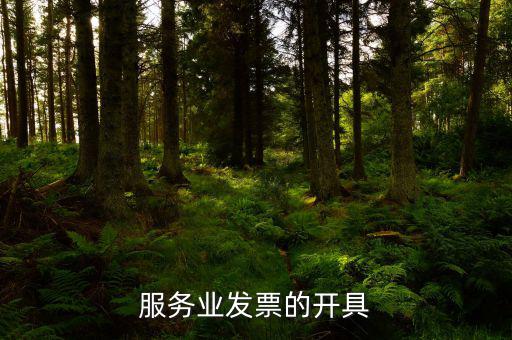 服務(wù)行業(yè)用什么發(fā)票，服務(wù)業(yè)發(fā)票的開具