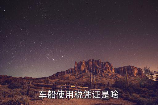 車船稅繳納憑證是什么意思，車船使用稅憑證是啥