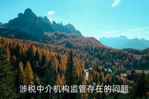社會(huì)組織涉稅方面有什么問題，涉稅中介機(jī)構(gòu)監(jiān)管存在的問題