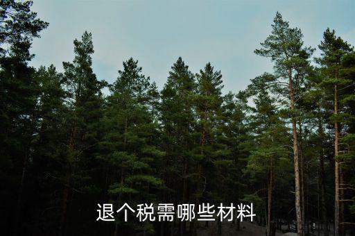 退抵稅需要什么，退抵稅款申請(qǐng)需要什么資料