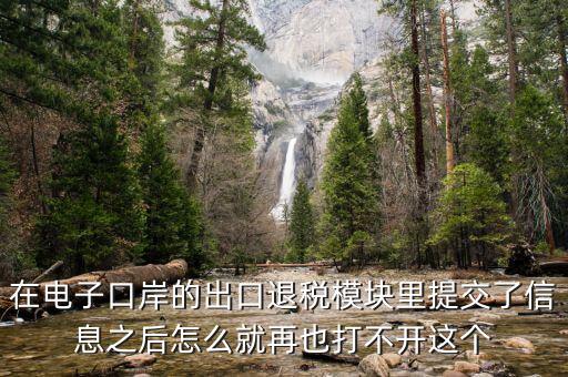 為什么退稅平臺(tái)進(jìn)不去，在電子口岸的出口退稅模塊里提交了信息之后怎么就再也打不開(kāi)這個(gè)