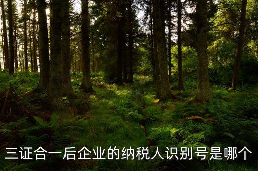 三證合一的納稅人識(shí)別號(hào)是什么，三證合一后企業(yè)的納稅人識(shí)別號(hào)是哪個(gè)