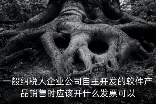 賣軟件交什么稅，一般納稅人企業(yè)公司自主開發(fā)的軟件產(chǎn)品銷售時應(yīng)該開什么發(fā)票可以