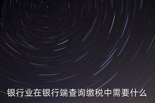 銀行端查詢繳稅要帶些什么，銀行業(yè)在銀行端查詢繳稅中需要什么