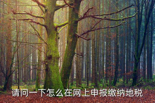 地稅個稅網(wǎng)址是什么，如何查詢個人所得稅明細(xì)