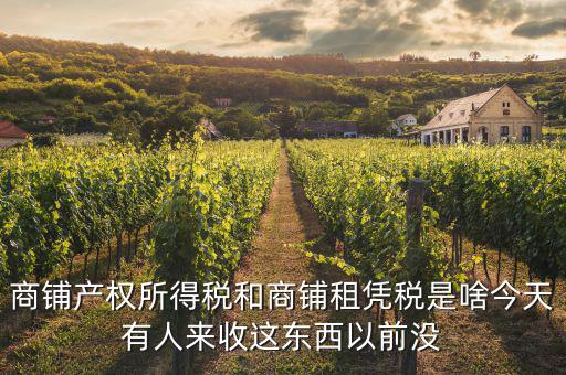 什么是商鋪租賃稅，商鋪出租應交哪些稅
