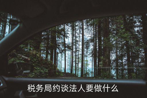 稅務(wù)異常約談法定代表干什么，稅務(wù)局約談法人要做什么