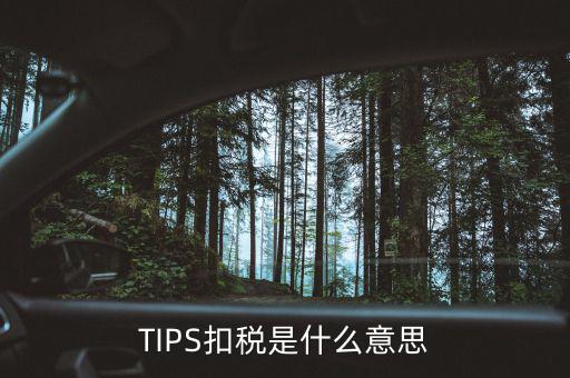 稅務tips是什么意思，tips扣稅是什么意思