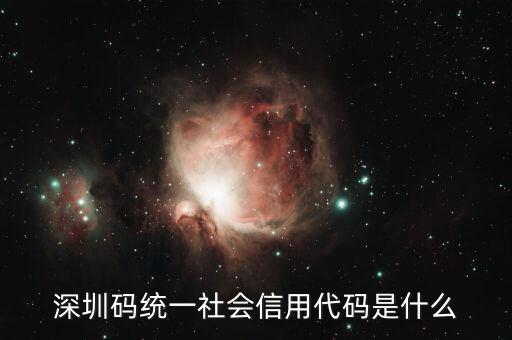 統(tǒng)一社會信用代碼是指什么不同，深圳碼統(tǒng)一社會信用代碼是什么