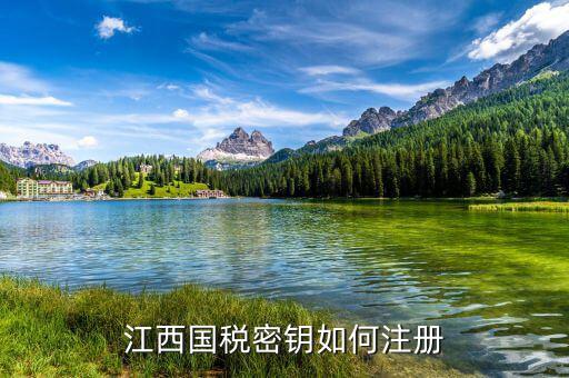 江西國稅密鑰是什么意思，為啥江西國稅的CA密鑰總是裝不成功
