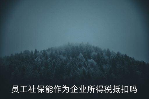 企業(yè)社?？梢缘质裁炊悾瑔T工社保能作為企業(yè)所得稅抵扣嗎