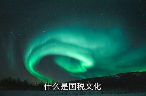 什么是文化國稅，什么是國稅文化