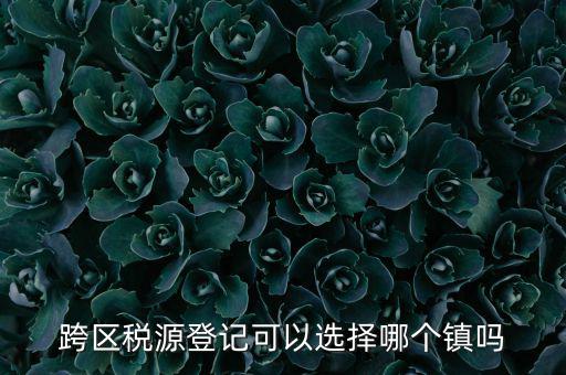 跨區(qū)稅源登記是什么，跨區(qū)稅源登記能否登記為一般納稅人