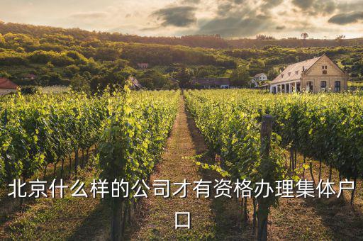 什么事北京千戶集團企業(yè)，千氏北京房地產經紀有限公司