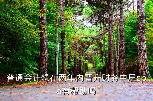 國(guó)稅有什么升職路線，普通會(huì)計(jì)想在兩年內(nèi)晉升財(cái)務(wù)中層cpa有幫助嗎