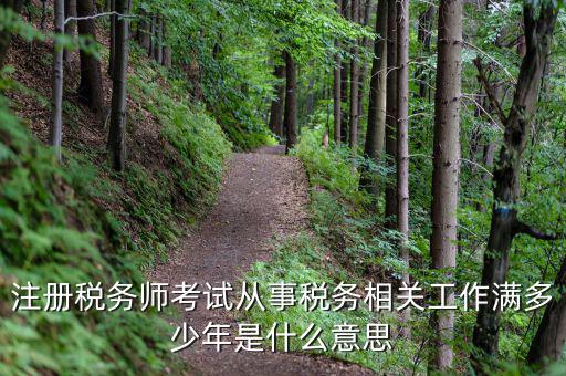 稅務(wù)從業(yè)人數(shù)是什么意思，請問稅務(wù)自查表中的查 數(shù)是什么意思急