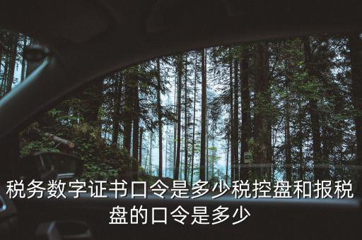 國稅證書口令是什么，我想問下國家稅務(wù)網(wǎng)上申報點擊安全登錄時出現(xiàn)的用戶口令是什么