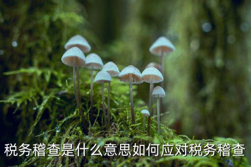 什么是稅務(wù)稽查積案，稅務(wù)稽查本指什么