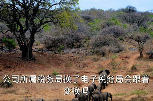 電子稅務(wù)局是什么時候變更的，公司所屬稅務(wù)局換了電子稅務(wù)局會跟著變換嗎
