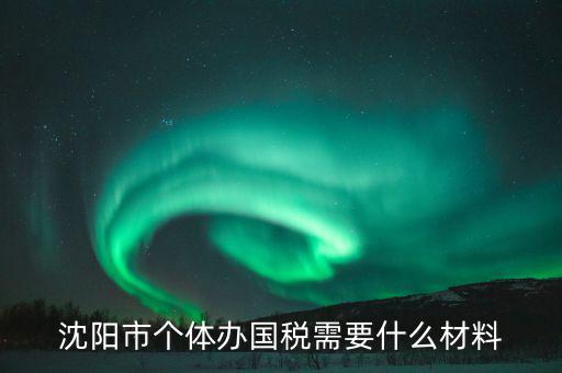 沈陽市個(gè)體辦國稅需要什么材料