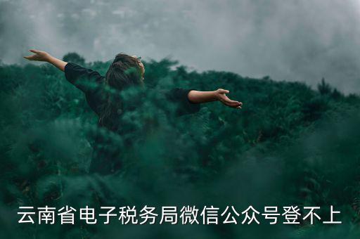為什么云南省國家稅務(wù)局進(jìn)不去，云南省電子稅務(wù)局微信公眾號登不上