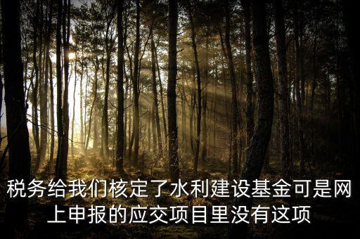 為什么水利建設(shè)無法申報，地稅電子稅務(wù)局的水利基金下滑找不到申報怎么辦