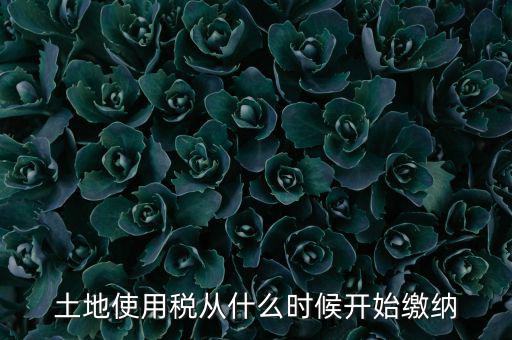 土地使用稅什么時候開始交，什么時候開始繳納房產(chǎn)稅和土地使用稅是否都要繳納