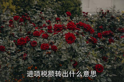 進(jìn)項稅額轉(zhuǎn)出什么意思