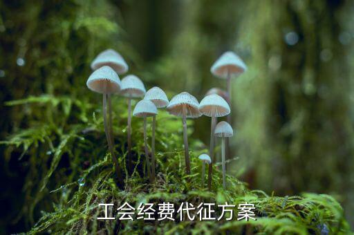 工會經(jīng)費為什么委托稅務(wù)機關(guān)代征，工會經(jīng)費交地稅局是怎么回事