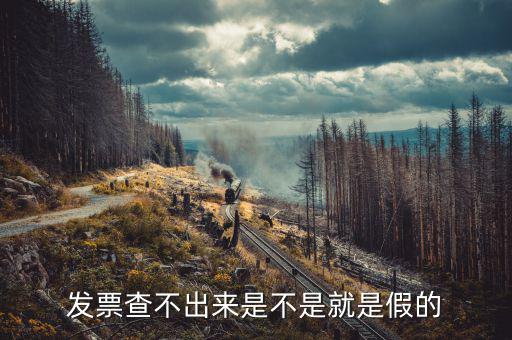 什么發(fā)票查不到真假，增值稅的發(fā)票真?zhèn)尾椴坏皆趺崔k
