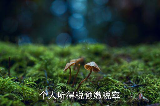 什么是個(gè)人所得稅預(yù)征率，個(gè)人所得稅預(yù)扣預(yù)繳是什么意思