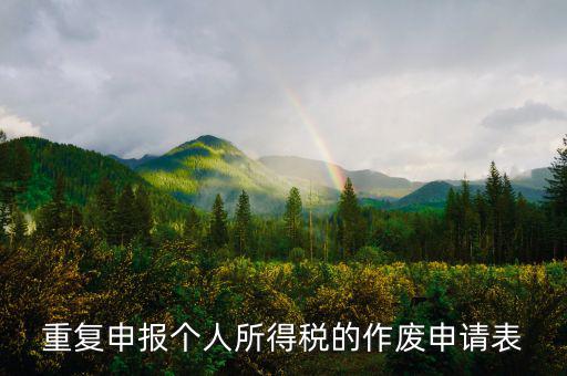 申報表作廢申請單 要帶什么，國稅報表作廢帶什么