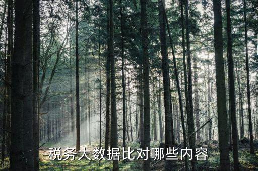 大數據稅務局需要過濾什么數據，稅務大數據是什么意思