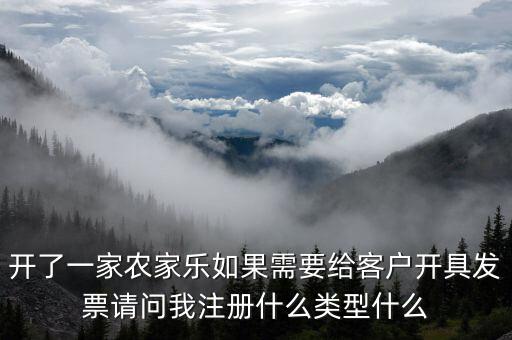 我要是以開普票為主 注冊什么性質(zhì)的公司好，開了一家農(nóng)家樂如果需要給客戶開具發(fā)票請問我注冊什么類型什么
