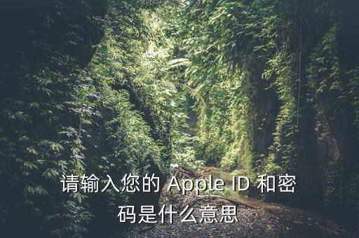 查詢個(gè)稅 密碼是輸入什么，請(qǐng)輸入您的 Apple ID 和密碼是什么意思