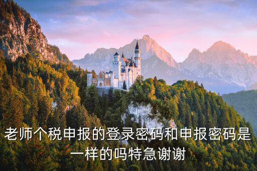 安徽個(gè)稅申報(bào)密碼是什么，老師個(gè)稅申報(bào)的登錄密碼和申報(bào)密碼是一樣的嗎特急謝謝