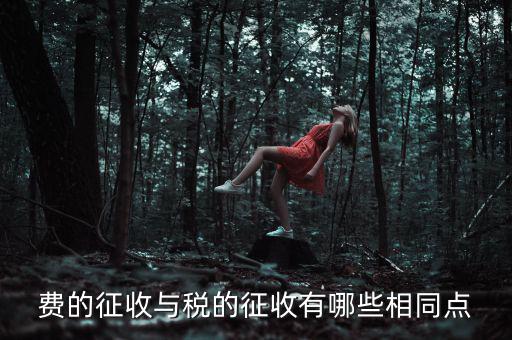 稅與費有什么區(qū)別 稅收具有，費的征收與稅的征收有哪些相同點
