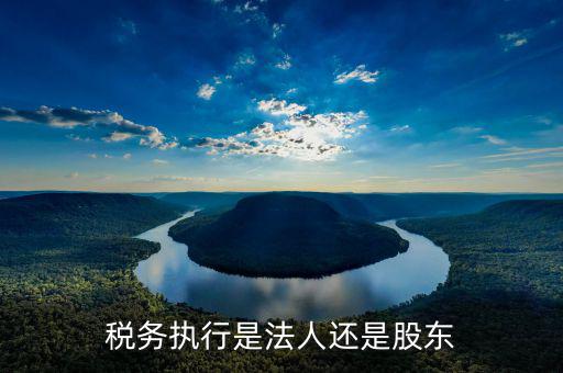 稅收政策執(zhí)行是干什么的，稅務(wù)執(zhí)行是法人還是股東