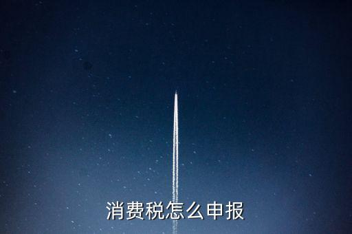 消費(fèi)稅怎么申報