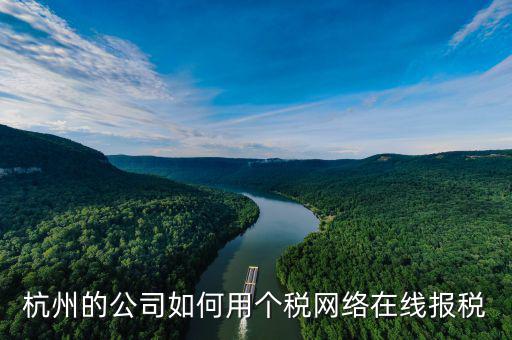 報(bào)個(gè)稅的小人是什么軟件，杭州的公司如何用個(gè)稅網(wǎng)絡(luò)在線報(bào)稅