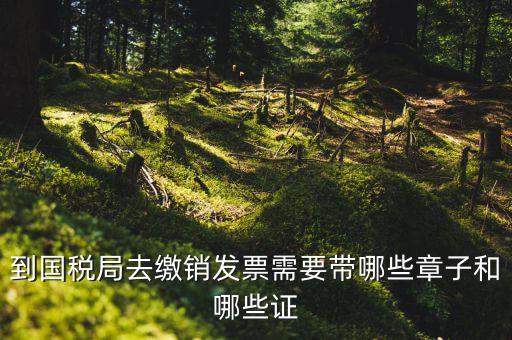 繳銷出口商品統(tǒng)一發(fā)票要蓋什么章，到國稅局去繳銷發(fā)票需要帶哪些章子和哪些證