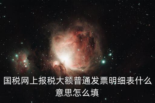 發(fā)票里的明細(xì)是什么意思，國(guó)稅網(wǎng)上報(bào)稅大額普通發(fā)票明細(xì)表什么意思怎么填