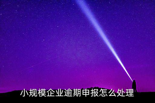 小規(guī)模納稅人如果沒有按時(shí)申報(bào)有什么后果，小規(guī)模不報(bào)稅什么后果
