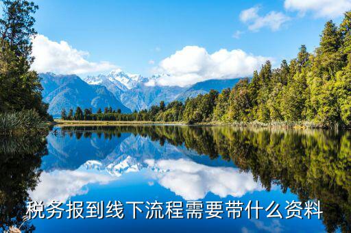南京稅務(wù)報(bào)道需要什么資料，去稅務(wù)局報(bào)稅需要帶什么資料