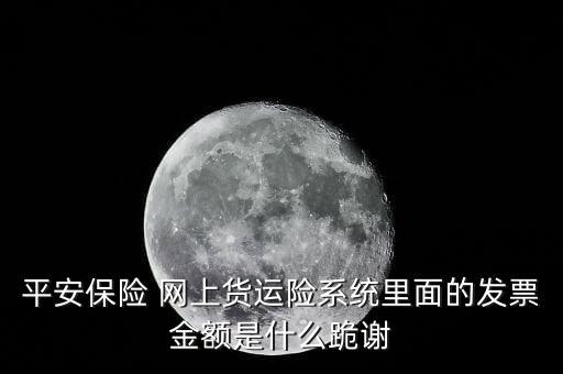 平安保險 網上貨運險系統(tǒng)里面的發(fā)票金額是什么跪謝