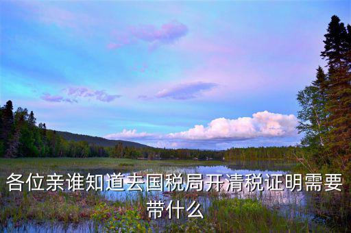 各位親誰知道去國(guó)稅局開清稅證明需要帶什么